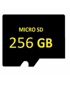 SD MICRO 256GB Vrhunski nadzor