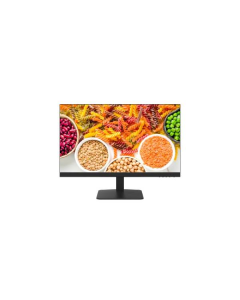 MONITOR DS-D5024F2-1P2