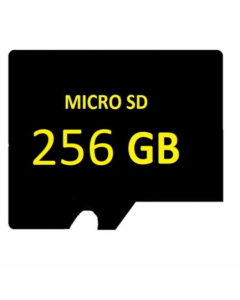 SD MICRO 256GB Vrhunski nadzor